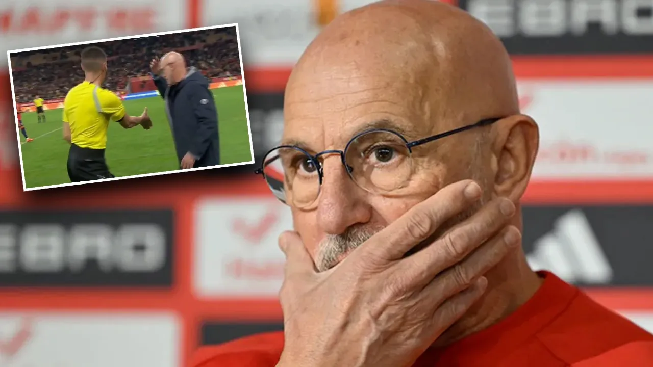 İspanya teknik direktöründen tepki çeken hareket! Fuente'den açıklama geldi