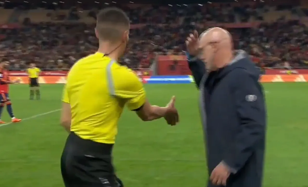 Luis de la Fuente, maçtan sonra yardımcı hakemin elini sıkmayı reddetti