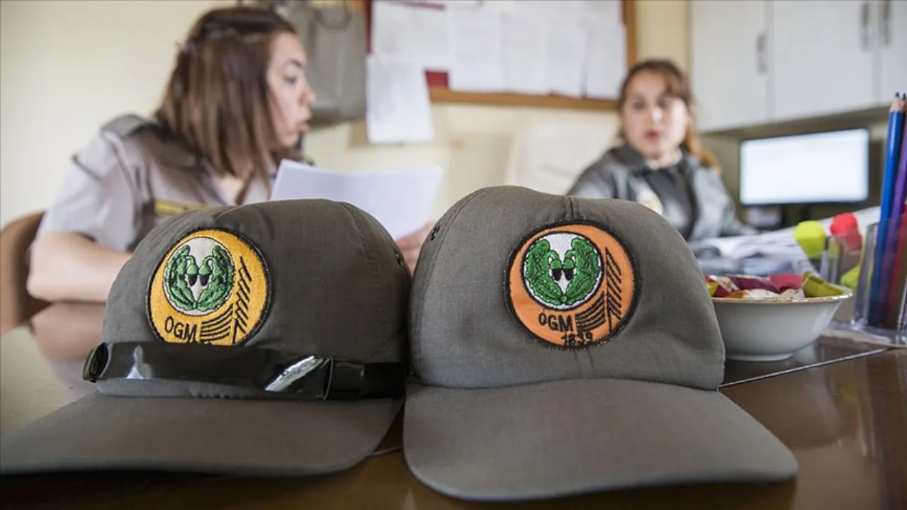 Orman Genel Müdürlüğü'ne 496 personel alınacak! İşte aranan meslekler 