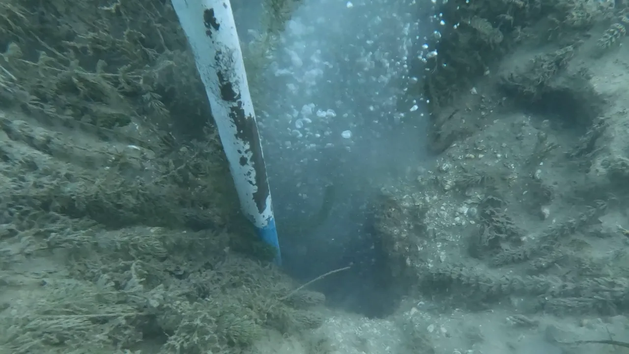 Sapanca Gölü’nde kabarcıklar endişe yarattı: Deprem habercisi mi?