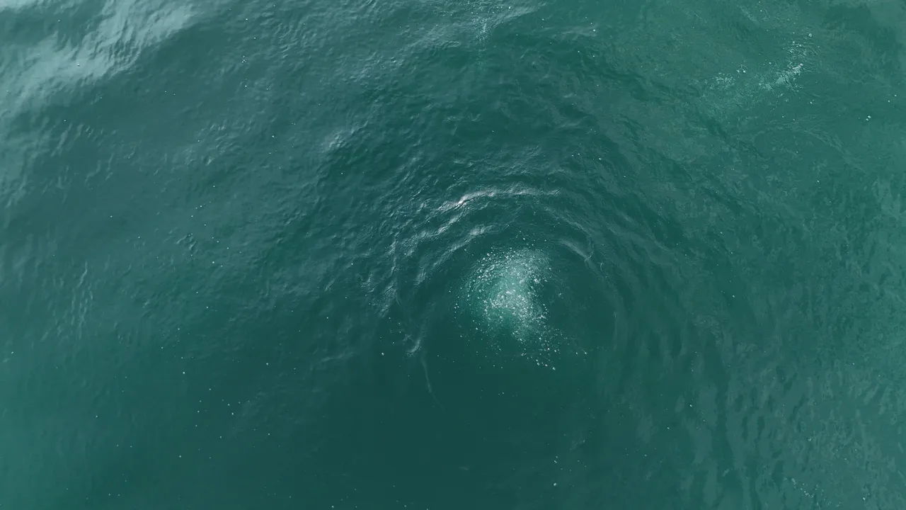 Sapanca Gölü’nde kabarcıklar endişe yarattı: Deprem habercisi mi?