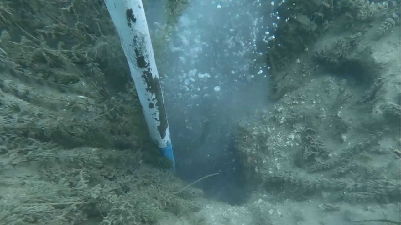 DEPREM HABERCİSİ Mİ?