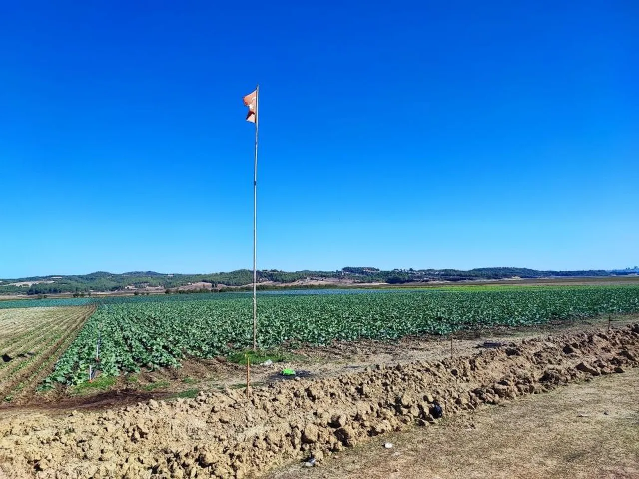 Seyhan Baraj Gölü'nde su çekildi! Çevresi tarım arazisi oldu