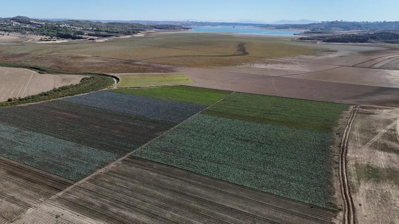 Seyhan Baraj Gölü'nde su çekildi! Çevresi tarım arazisi oldu