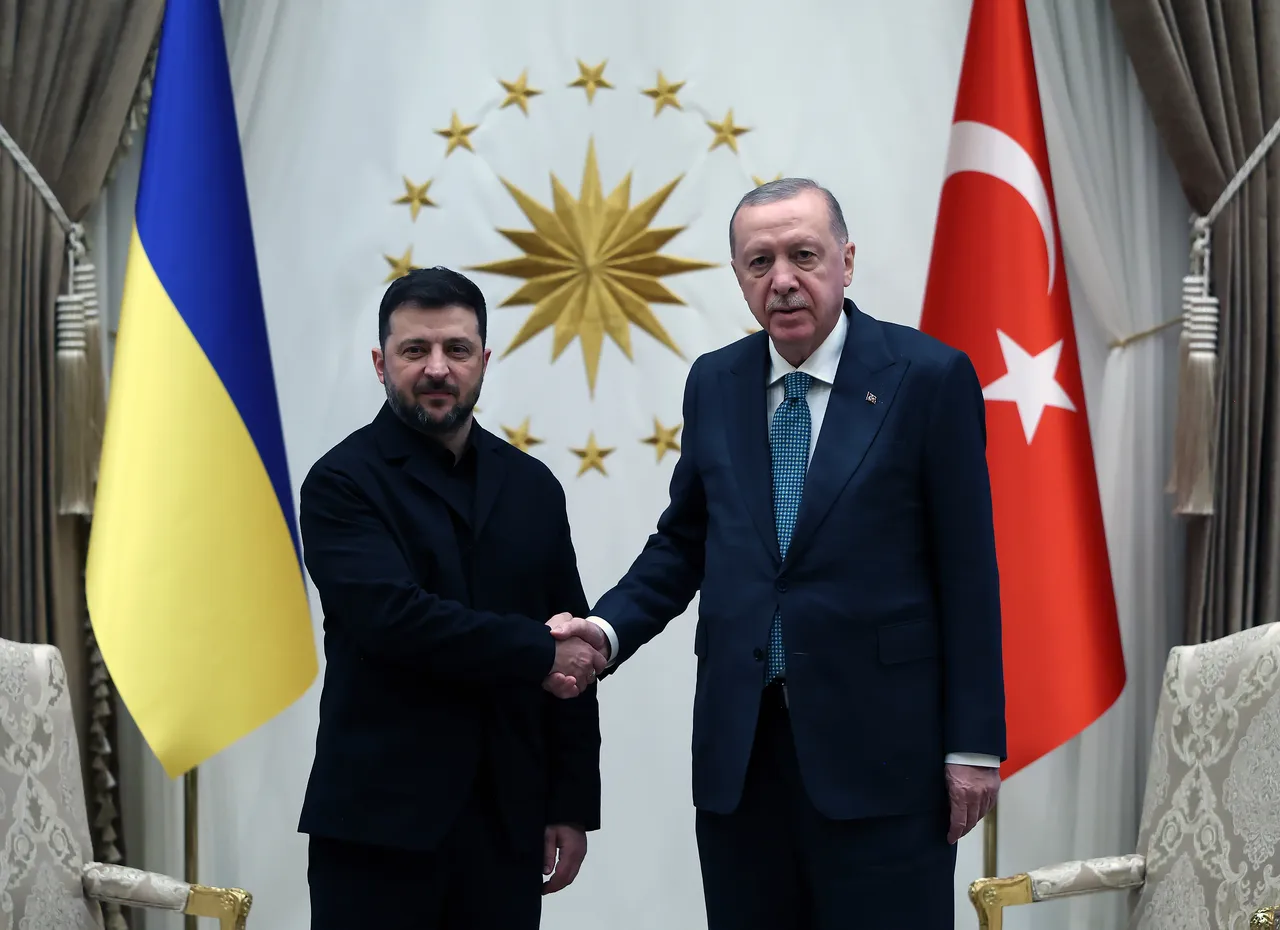 Zelenskiy Ankara'da! Cumhurbaşkanı Erdoğan: İstanbul süreci yeniden devreye alınmalı