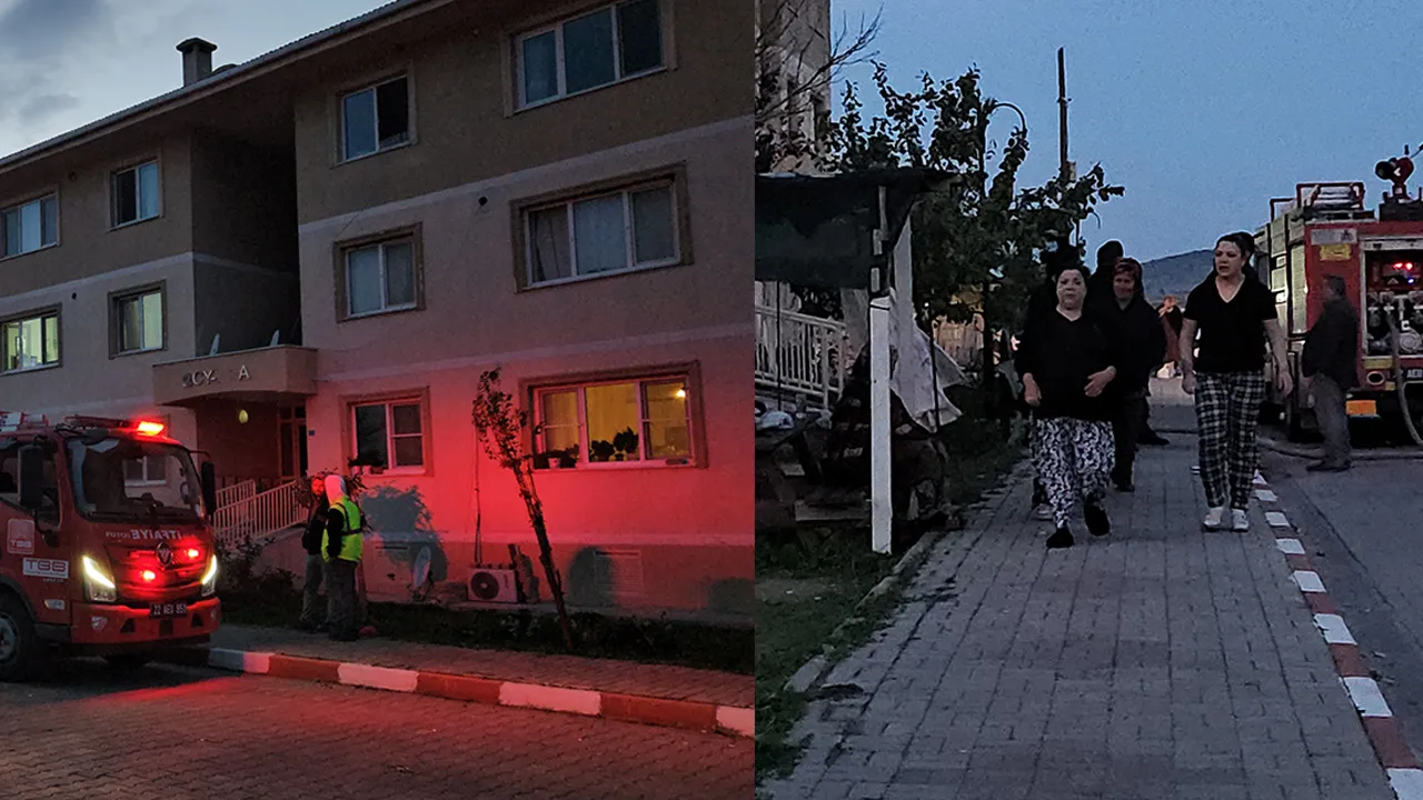 Apartman koridorunda cinayet! Yaşlı kadını öldürüp intihar etti