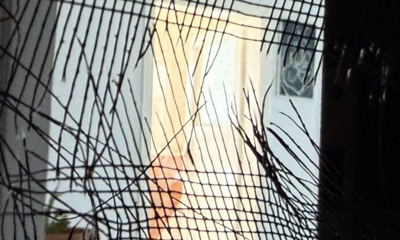 Diyarbakır’da aile cinayeti! Geçmişi, katliamın işareti çıktı