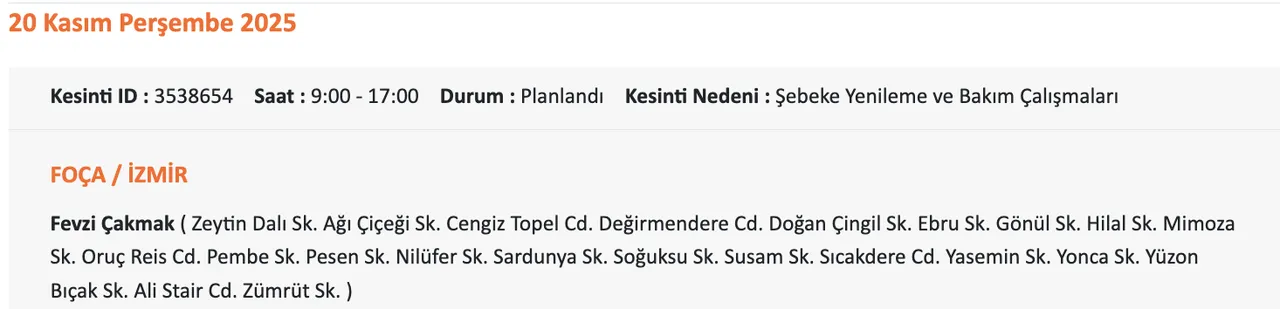 Gediz Elektrik kesintisi sorgulama! 20 Kasım Perşembe İzmirde elektrikler ne zaman gelecek?