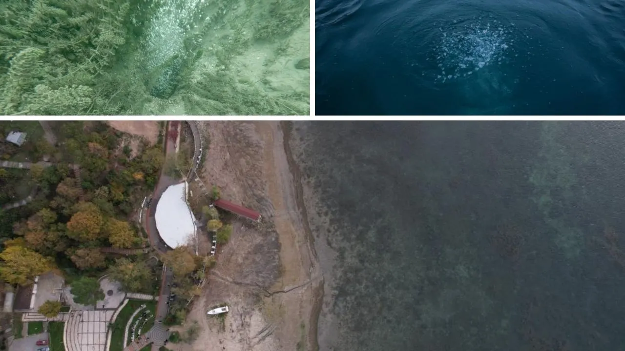 Sapanca Gölü'ndeki kabarcıklar korkuttu! Deprem beklentisiyle uyuyamıyorlar