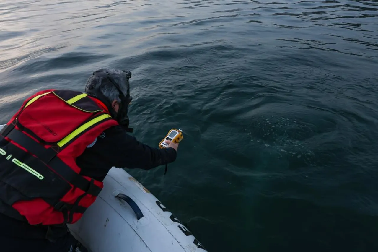 Sapanca Gölü'ndeki kabarcıkların sebebi belli oldu