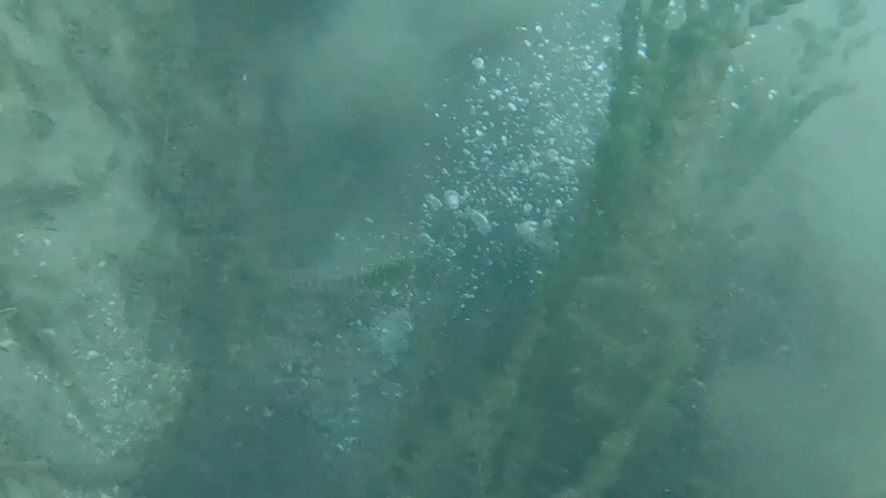 Sapanca Gölü'ndeki kabarcıklar böyle görüntülendi.