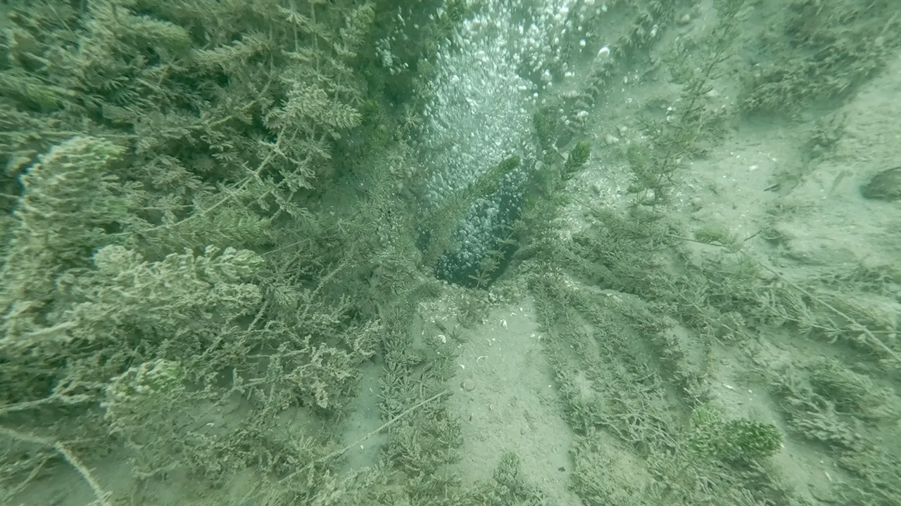Sapanca Gölü'ndeki kabarcıklar böyle görüntülendi.