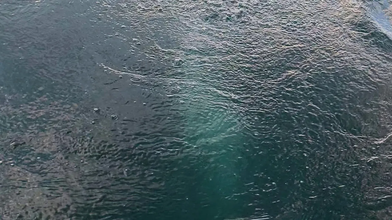 Sapanca Gölü'ndeki kabarcıklar böyle görüntülendi.