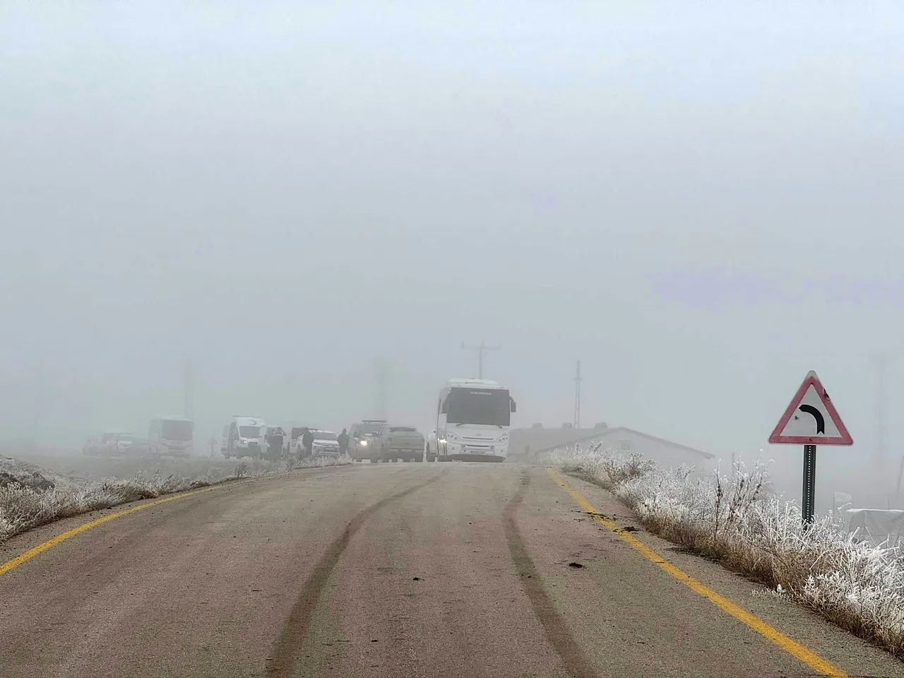 Sis çöktü, çoban 150 koyunuyla kayboldu! Ekipler dağ taş arıyor