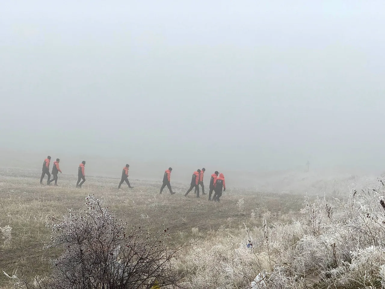 Sis çöktü, çoban 150 koyunuyla kayboldu! Ekipler dağ taş arıyor