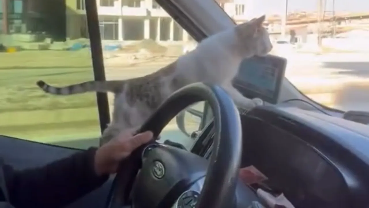 Soğuktan titreyen misafiri görünce dayanamadı! Şoförün hareketi alkış topladı