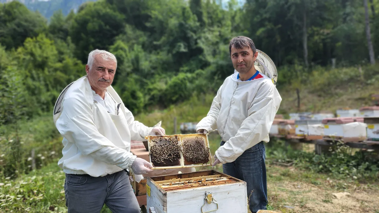 Türkiye’nin AB tescilli 43. ürünü Yenice ıhlamur balı oldu