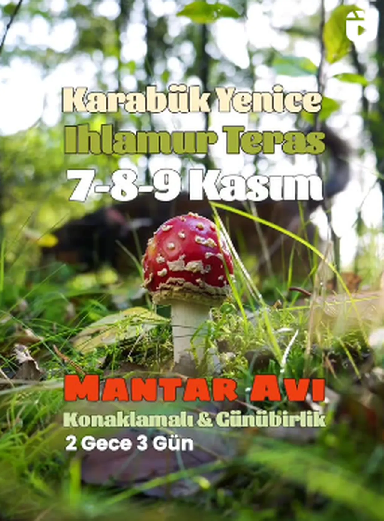 Türkiye'nin görünmeyen zehir krizi! Sonbahar uzadı mantara bağlı zehirlenmeler arttı