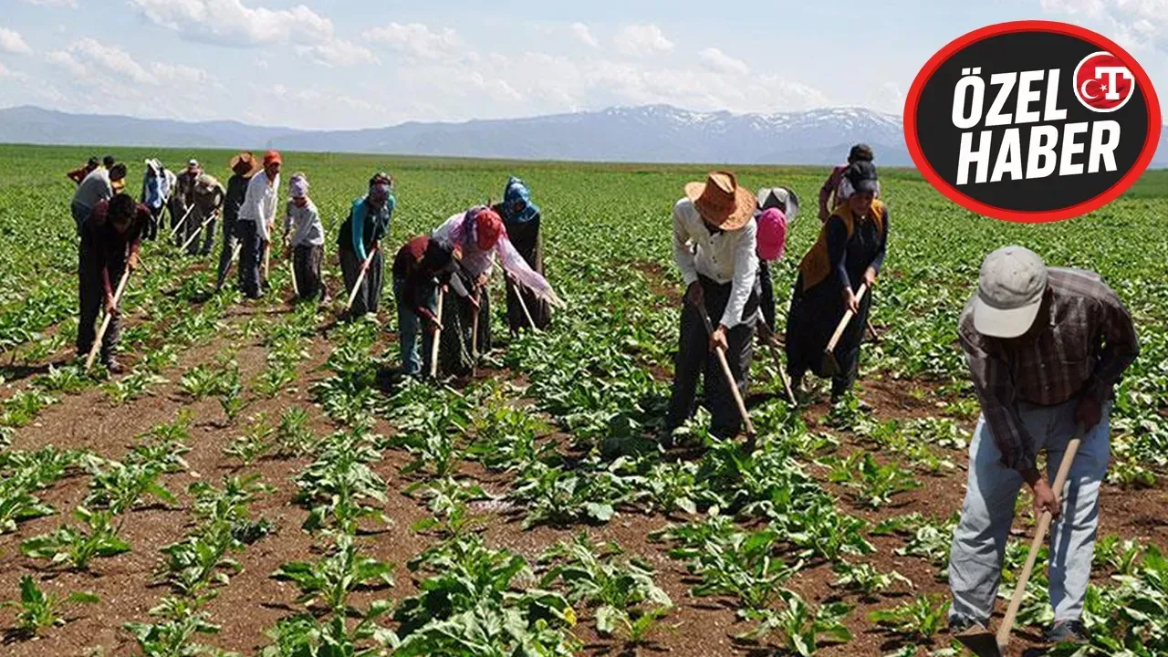 ÜRETİME ELCİ DARBESİ!