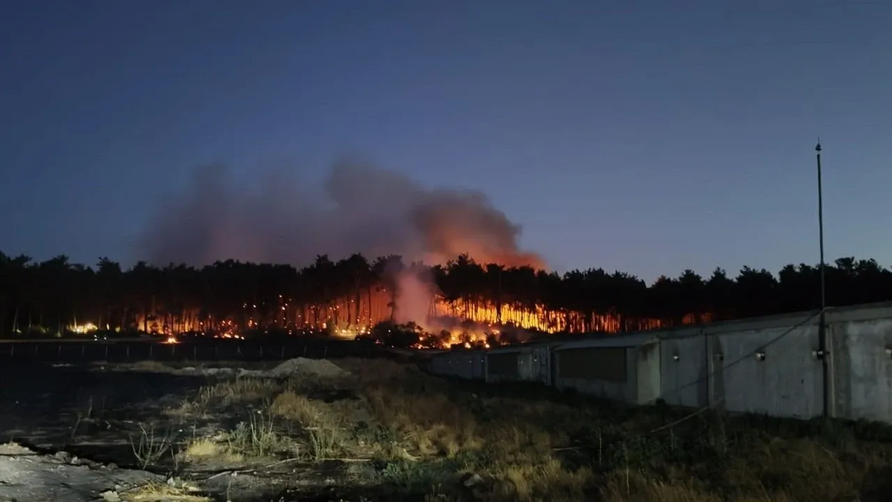 Balıkesir'de tavuk çiftliği yandı! Binlerce hayvan telef oldu