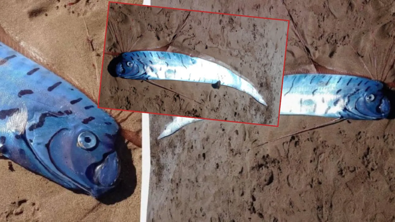 Böylesi ilk kez görüldü! Görenler donup kaldı