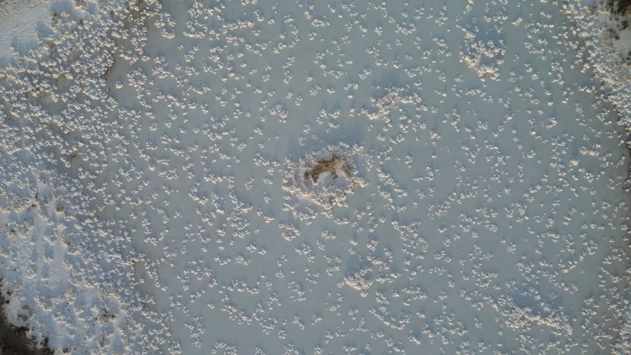 Tuz Gölü'ndeki sıra dışı tuz oluşumları, görenleri şaşkına çeviriyor.