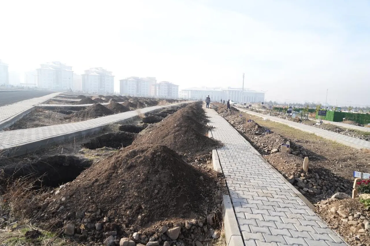 Erzurum'da yüzlerce mezar açıldı! Sebebi belli oldu
