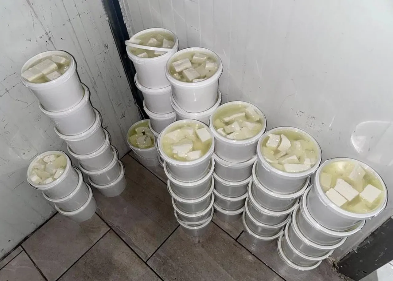 Hatay'da 2 tondan fazla yoğurt ve peynir imha edildi