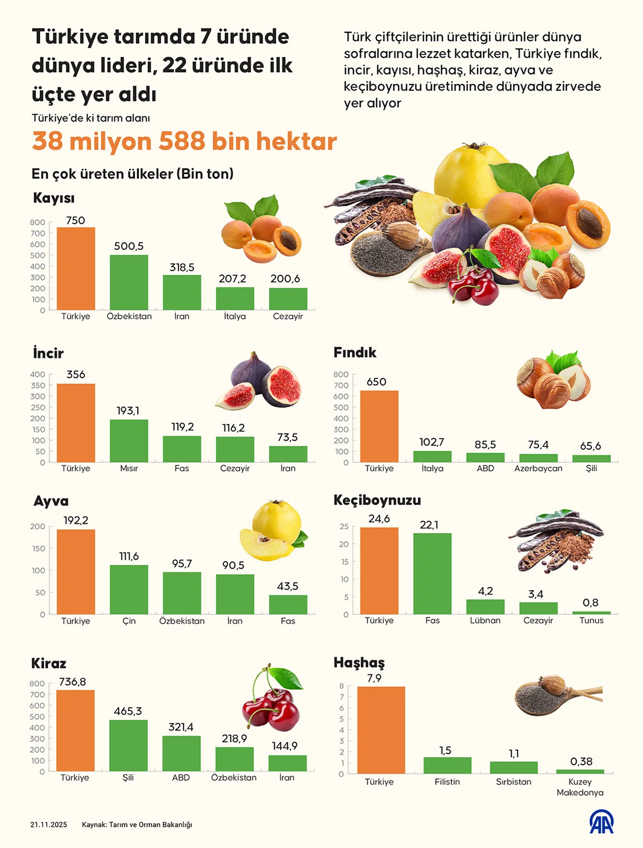 Tarımda dünya lideri Türkiye! 7 üründe zirvedeyiz, 22 üründe ilk üçte...