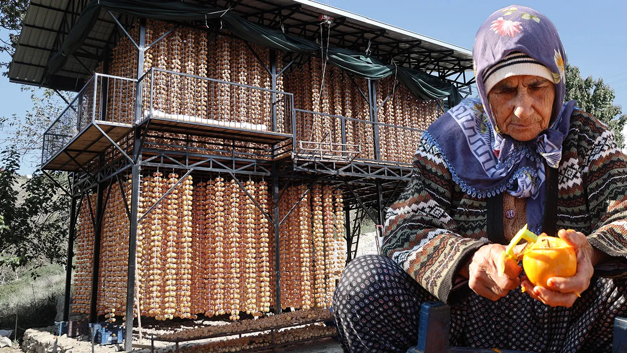 Yılda sadece 20 gün sürüyor, köy fabrikaya dönüşüyor! Kilosu 500 TL'den satılıyor