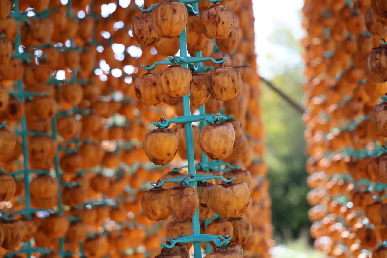 Köylüler 'cennet hurması' ile hem ev hem ülke ekonomisine katkı sağlıyor.