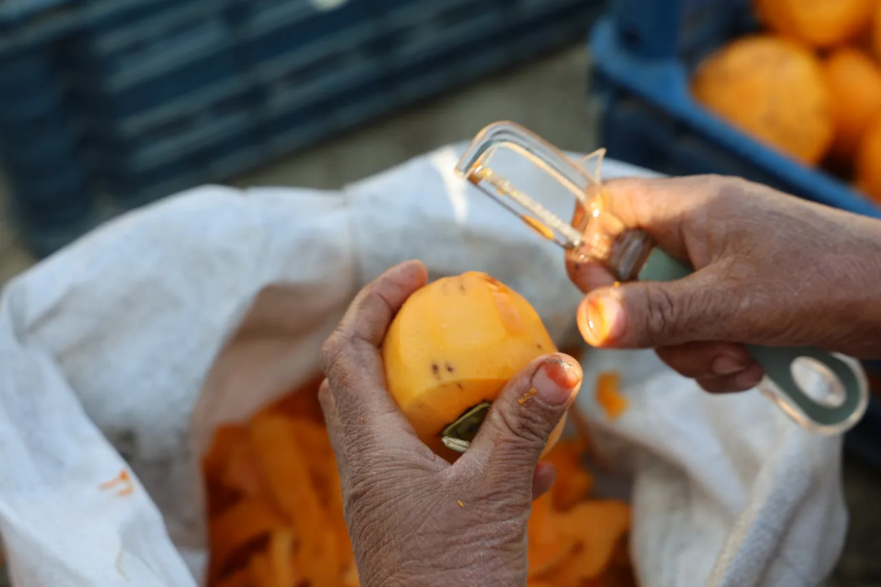 Köylüler 'cennet hurması' ile hem ev hem ülke ekonomisine katkı sağlıyor.