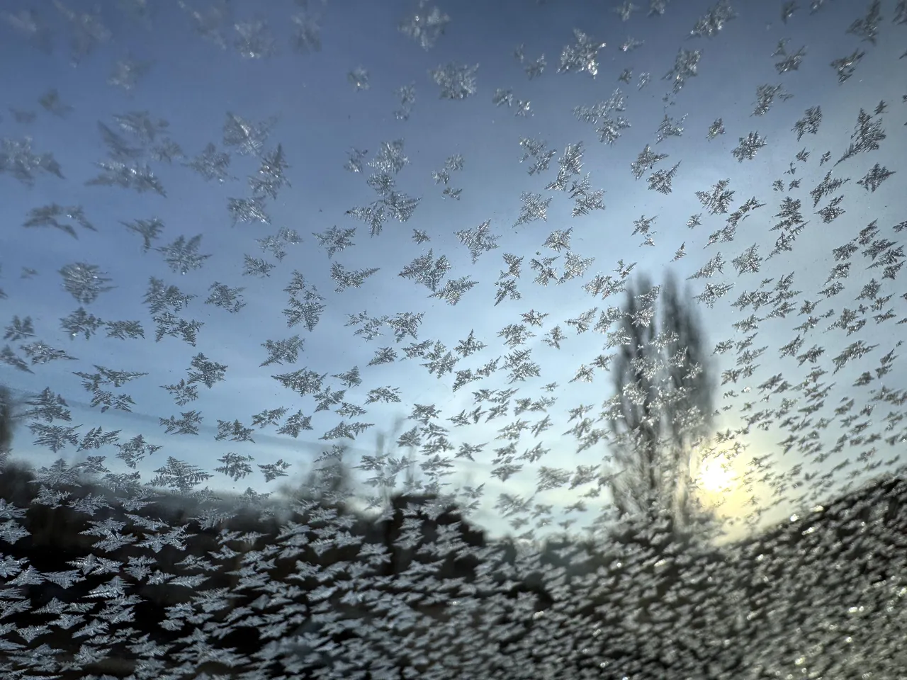 Ardahan'da Kura Nehri'nin yüzeyi buz tutmaya başladı