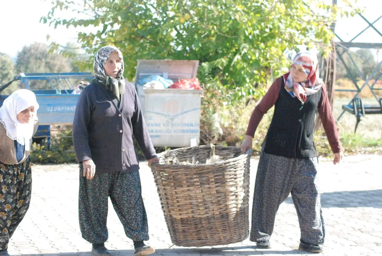 İmece usulüyle toplanan kapçıklar