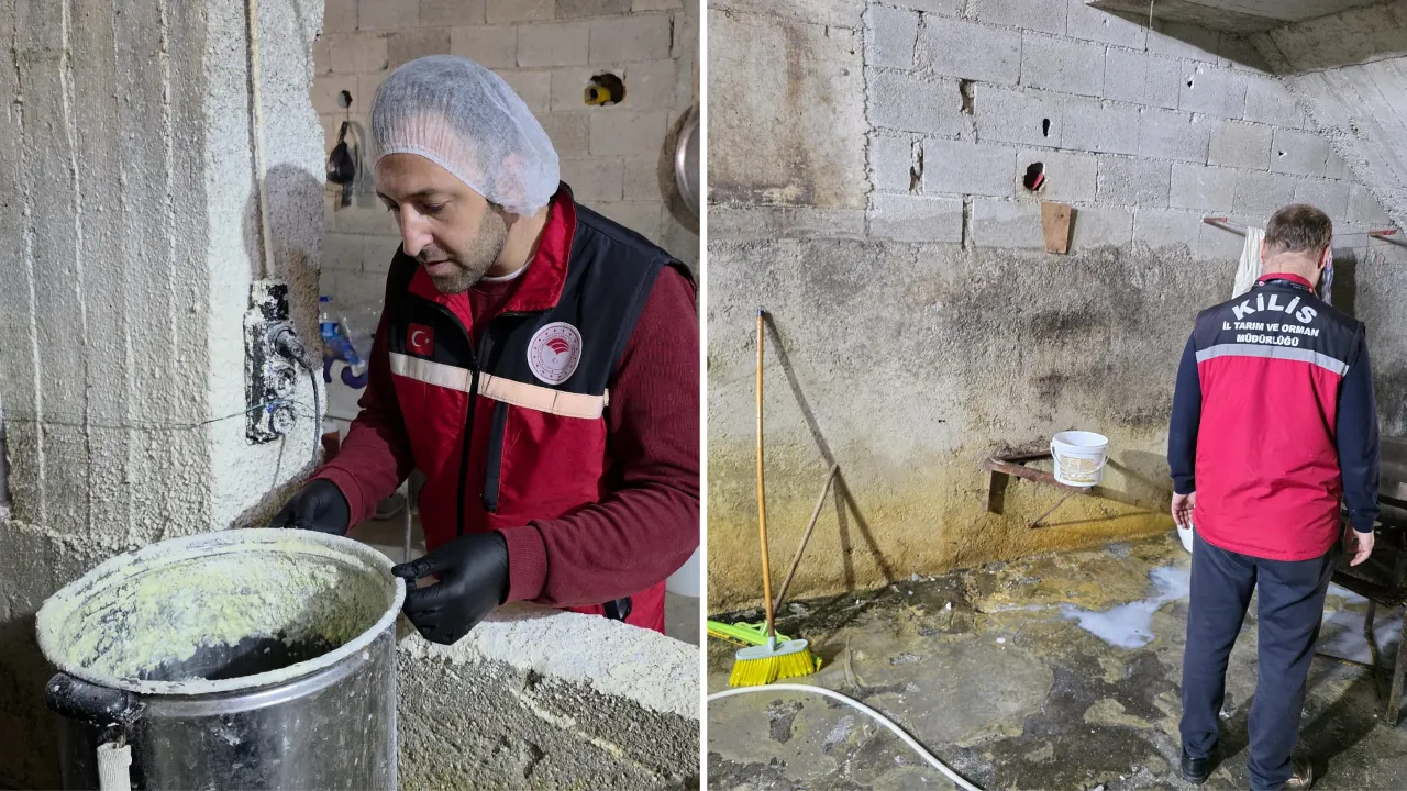 Hijyen yok, belge yok! Süt üretiminde manzara 'yok artık' dedirtti