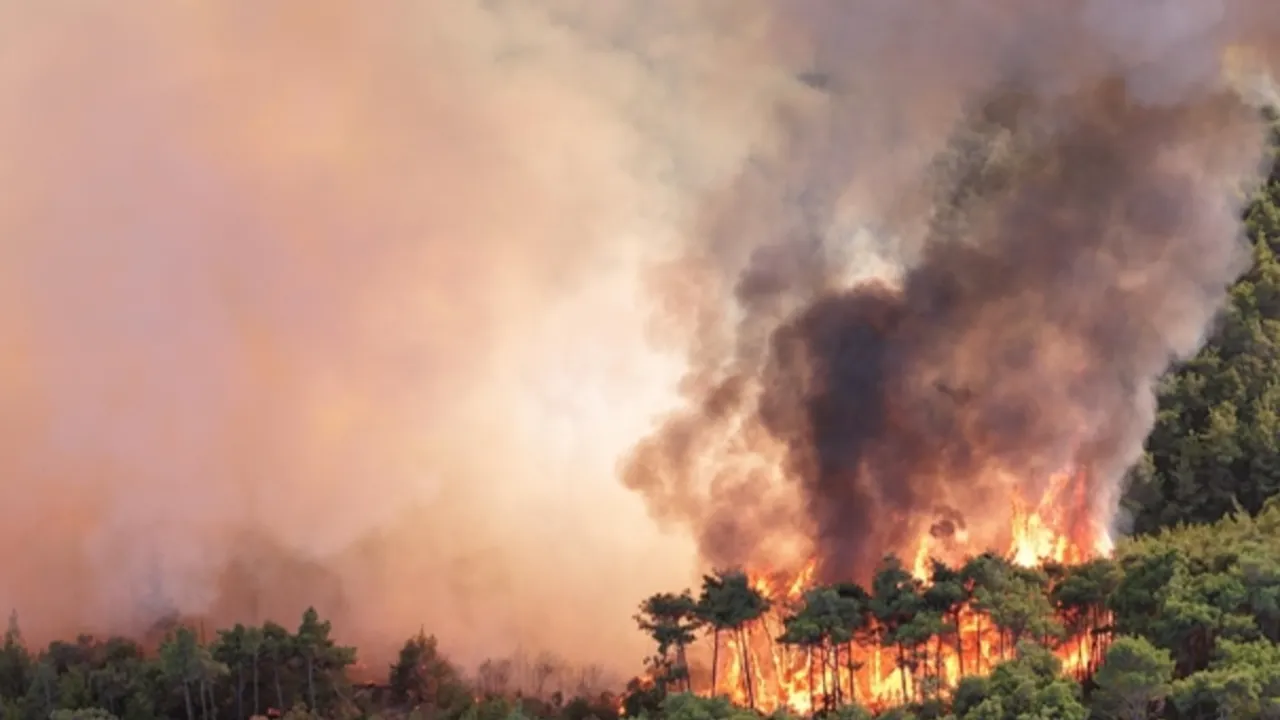 İran'da UNESCO listesindeki ormanlar yanıyor! Türkiye yine yardım eli uzattı