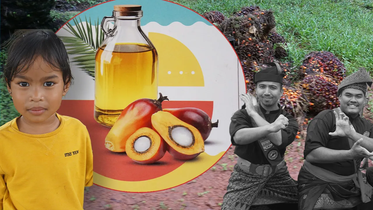 Malezya-ABD arasında yağ savaşı! Palmiyesi olan kazanır