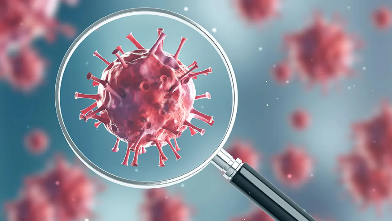 Sadece hayvanlarda görülüyordu... 1 kişi nadir kuş gribi türü nedeniyle hayatını kaybetti