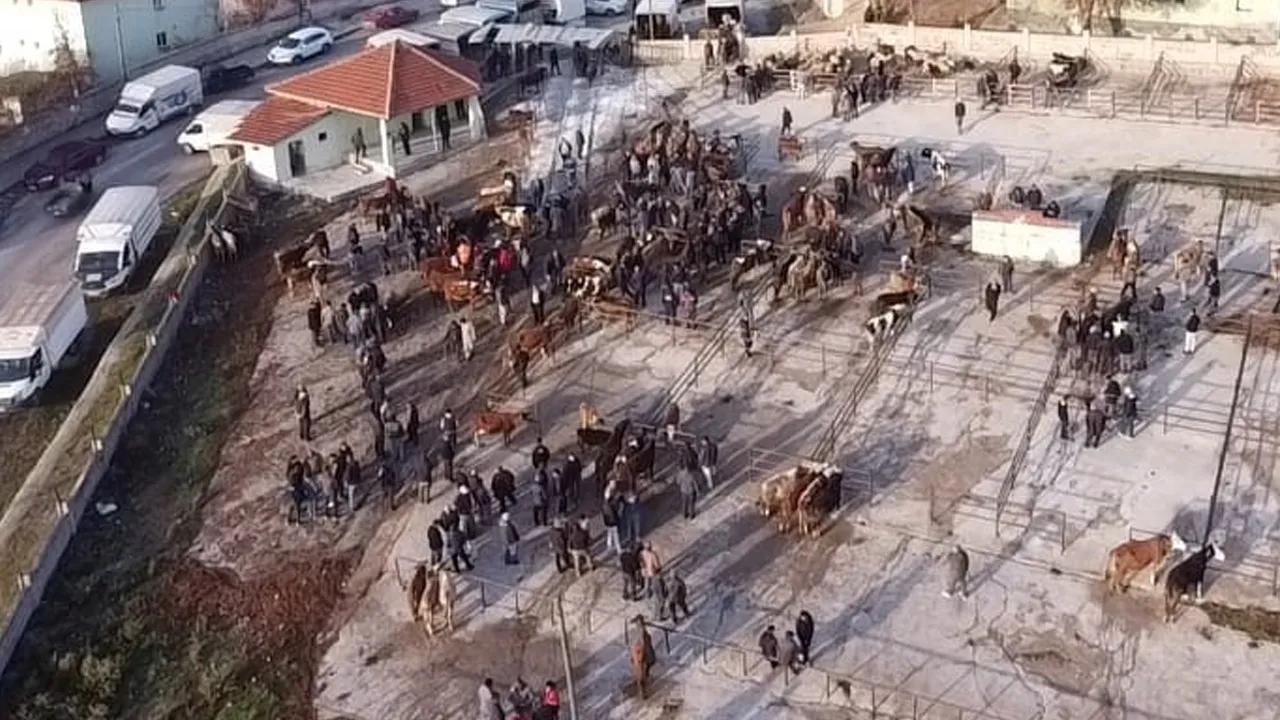 Şap hastalığı nedeniyle 2 aydır kapalıydı! Hayvan pazarı yeniden açıldı