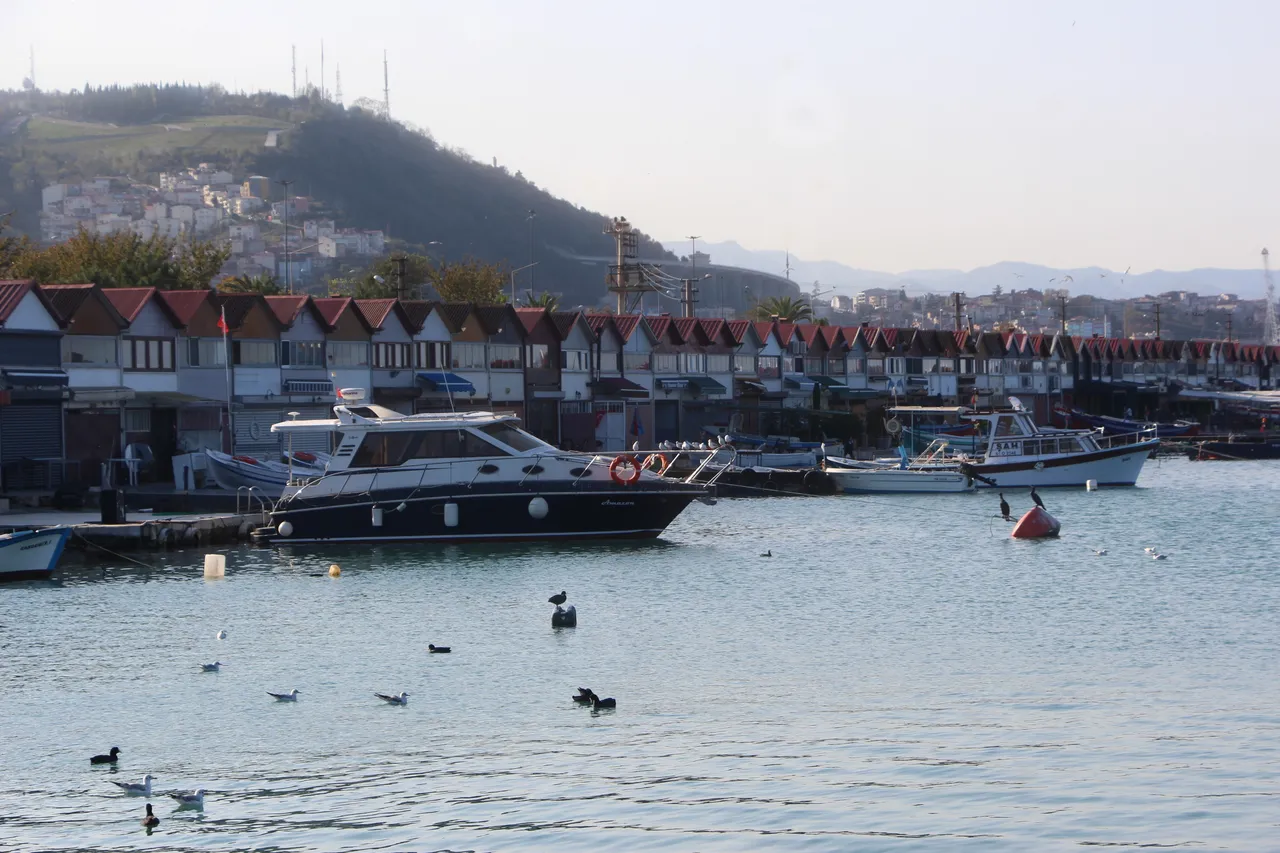 7 milyon TLlik fiyatları gören villa sanıyor! Balıkçı barınakları, üstelik tapuları dahi yok...