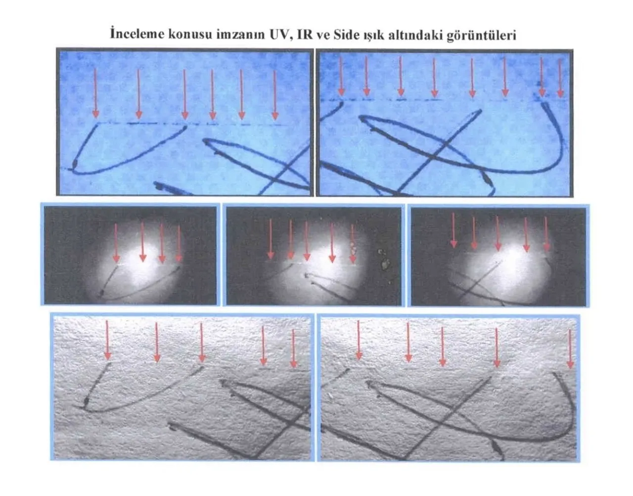 Almanyadan dönen emekli işçiye 200 milyon liralık şok! Her şeyi gelen mesajla öğrendi