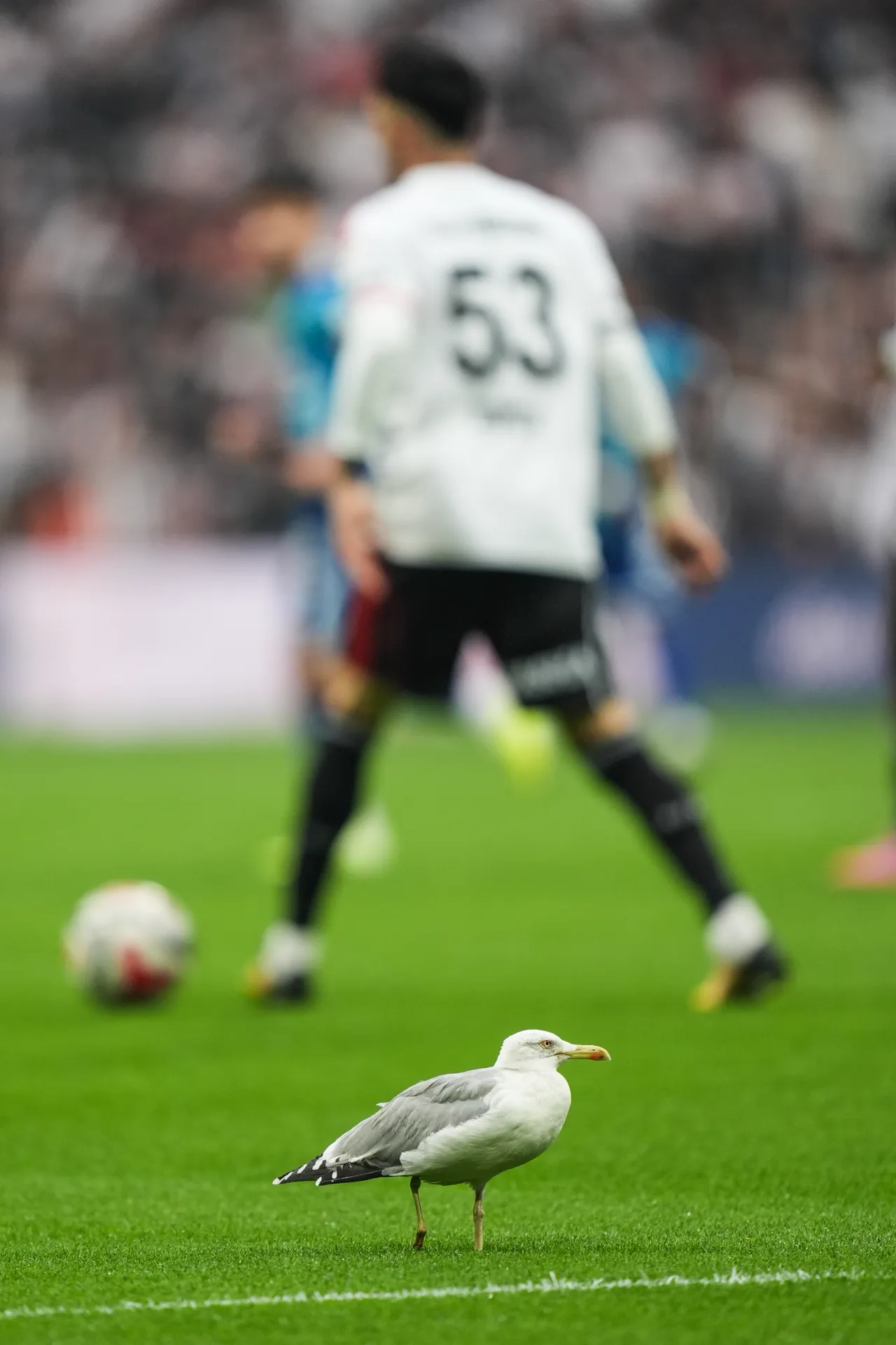 Beşiktaş, Samsunspor'u ağırlıyor! — CANLI ANLATIM