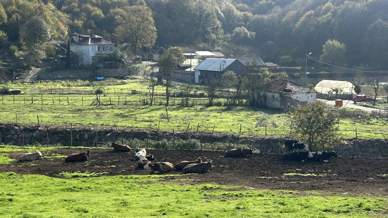 Bu köy adeta İstanbul'un Trabzon şubesi...