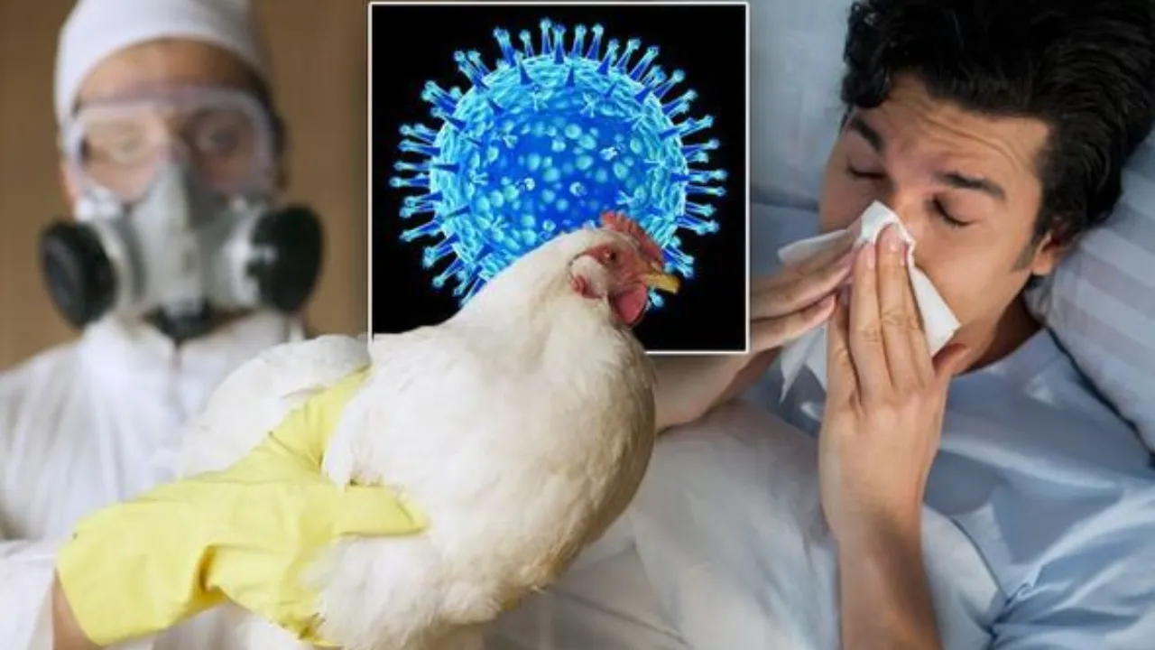 Kuş gribinde korkulan oldu! H5N5 ilk kez insanı öldürdü