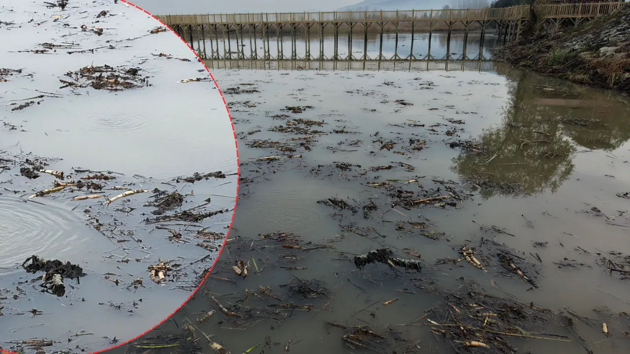 Sapanca sonrası o gölde de gizemli olay! Gören şaşkına dönüyor