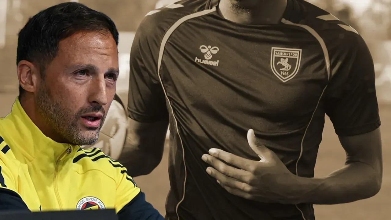 TEDESCO ONU İSTİYOR