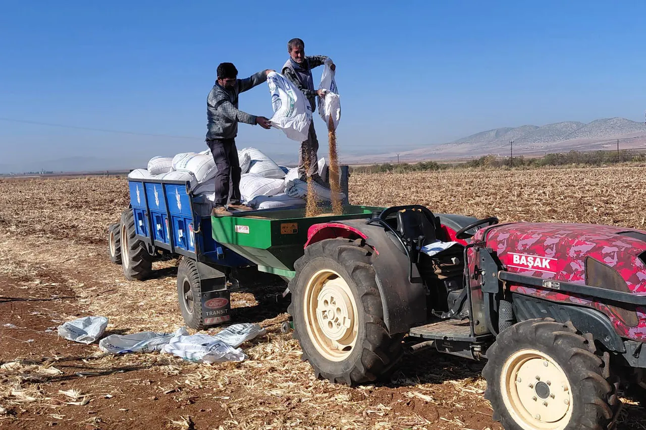 Anadolunun tahıl ambarını kuraklık vurdu! Bu yıl ekim 2 ay gecikti