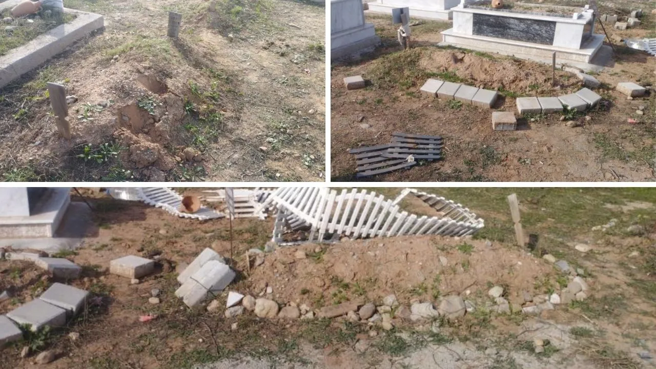 Başıboş atlar mezarlığı talan etti! Vatandaşlardan belediyeye tepki