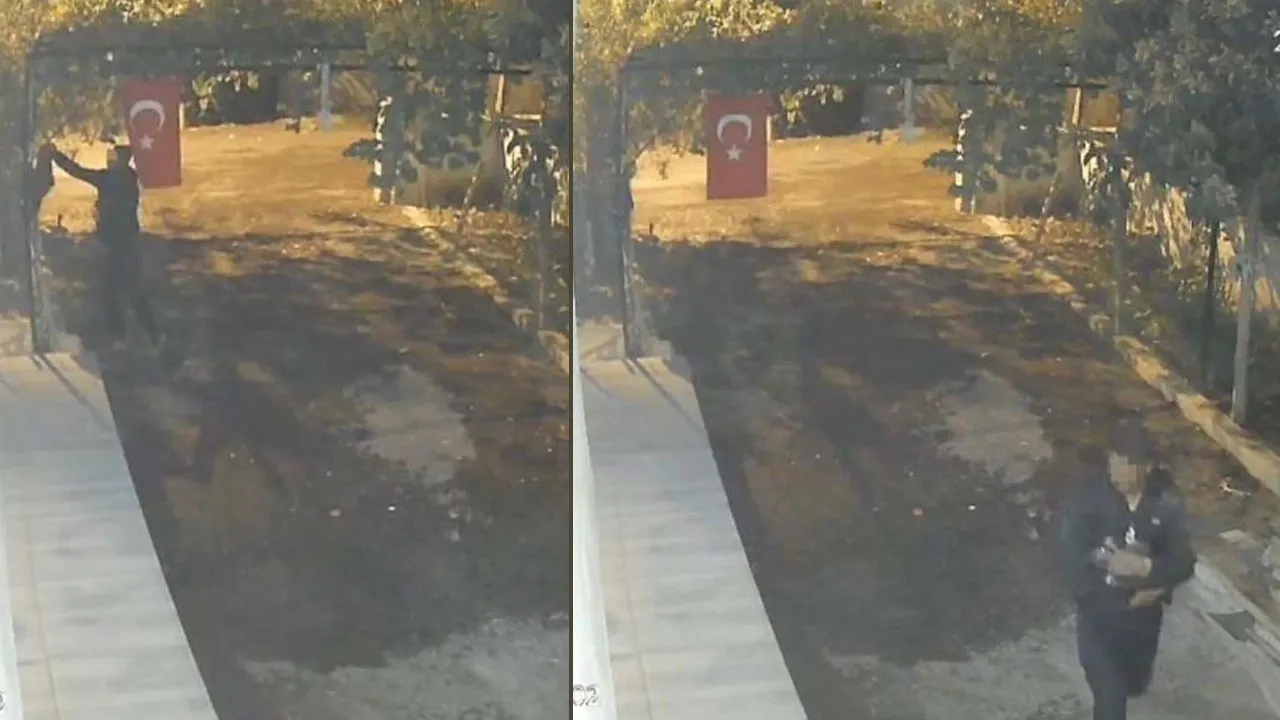 İlginç hırsızlık! Mavi yumurtlayan tavukları tişörte koyup kaçtı