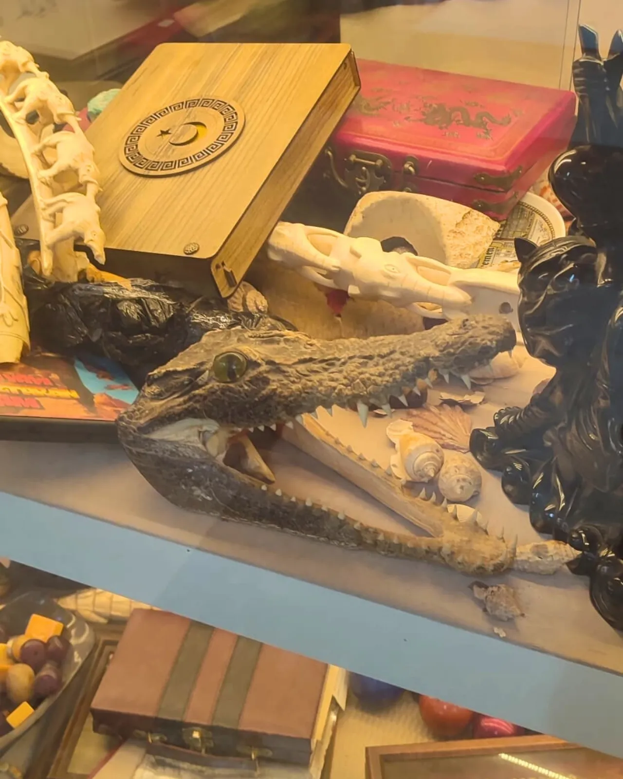 Ele geçirilen yaban hayatı ürünleri